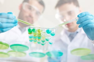 Due ricercatori in camice bianco e guanti blu che utilizzano pipette per trasferire liquidi verdi e turchesi in una piastra a pozzetti durante un esperimento di laboratorio.