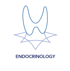 Endocrinology icon