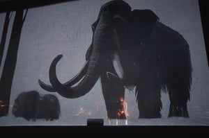 I musicisti dello spettacolo Nomadic suonano dietro un telo su cui è proiettato un mammut