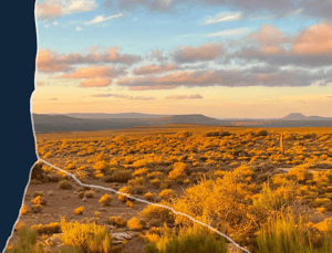 Golden desert landscape at sunset, with low bushes lit by warm light and distant mountains under a partly cloudy sky