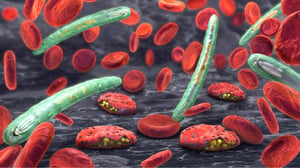 blood-cells-plasmodium-malaria
