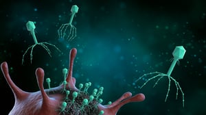 Phages to defeat bacteria