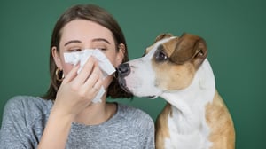 A woman sneezes and blows her nose into a napkin and looks at her dog.