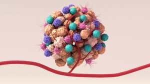 tumor-microenvironment