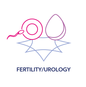 Fertility and urology icon