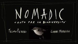 nomadic evento home